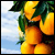 Orange-Agenda's avatar