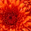 OrangeRocks4eva's avatar