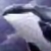 orca-orrinus's avatar