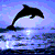 orcasnapeluvr's avatar