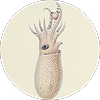 orlandoMoonsoup's avatar