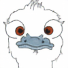 OstrichHair's avatar