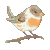 other-birds's avatar