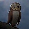 Owl-Eye-2010's avatar