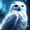 OwlLover07's avatar