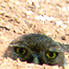 owlseesplz's avatar