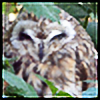 owlships's avatar