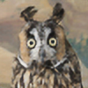 Owwll's avatar