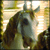 p4pillon's avatar