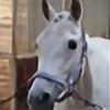 paardenride's avatar