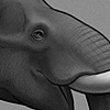 paiaeo's avatar