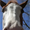 painthorse's avatar