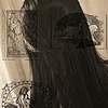 palenordwind's avatar