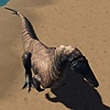 PaleoNerd2000's avatar
