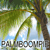palmboompie's avatar