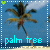 palmtreesex's avatar