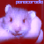 panaceradio's avatar