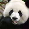 pandapower3210's avatar
