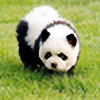 pandapup1409's avatar