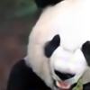 PandaWizard's avatar
