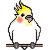 Papagei's avatar