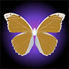 Papilio-pulveris's avatar