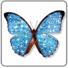 PapilioPulvis's avatar
