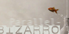 Parallel-Bizarro's avatar