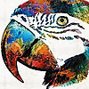parrotglinko's avatar