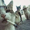 patogta933's avatar
