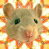 PATRICK122's avatar