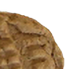 PBCookie2's avatar
