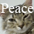 PeaceLoveNature's avatar