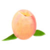 peachrot's avatar