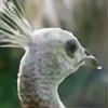 PeacocksPalette's avatar