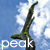 peak's avatar