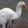 Peculiar-Goose's avatar