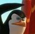 Penguins-TPOM's avatar