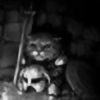 Peragrinus's avatar