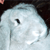 percelli's avatar