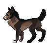 Perplexed-Wolf's avatar