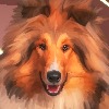 PetsPaints's avatar