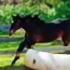 pferdsport's avatar