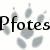 Pfotes-Adoptables's avatar