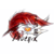 Phoenix-Hinotori's avatar