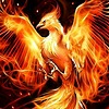 phoenix8596's avatar