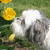 Photo-Bunny's avatar