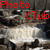 Photoclub's avatar