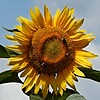 PhotographyThatIsMe's avatar