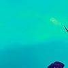 photosNille's avatar